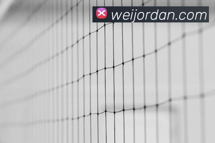 App 展示图